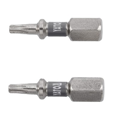 BITY 1/4"X25 MM T10 2 SZT
